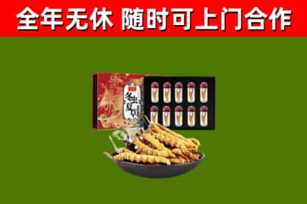 尖草坪回收冬虫夏草价格
