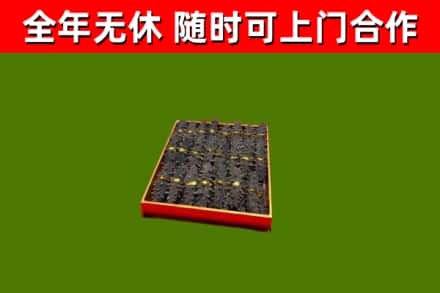 尖草坪回收海参